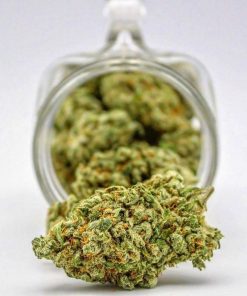 Buy Golden Lemon