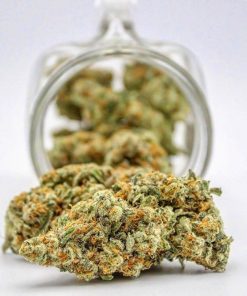 Buy Jack Herer